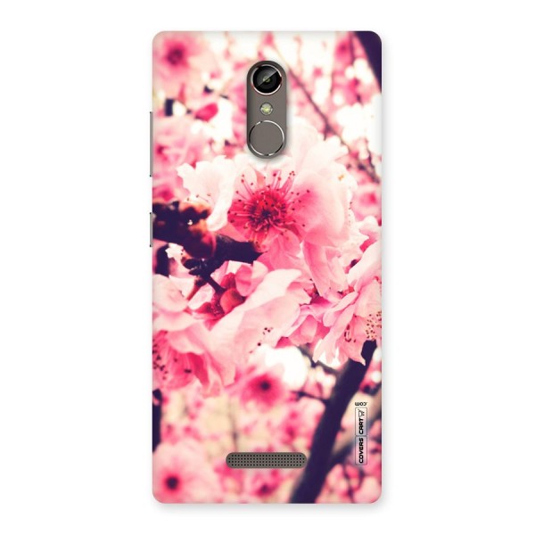 Pretty Pink Flowers Back Case for Gionee S6s