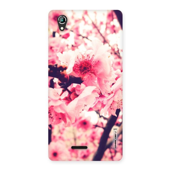 Pretty Pink Flowers Back Case for Lava Iris 800