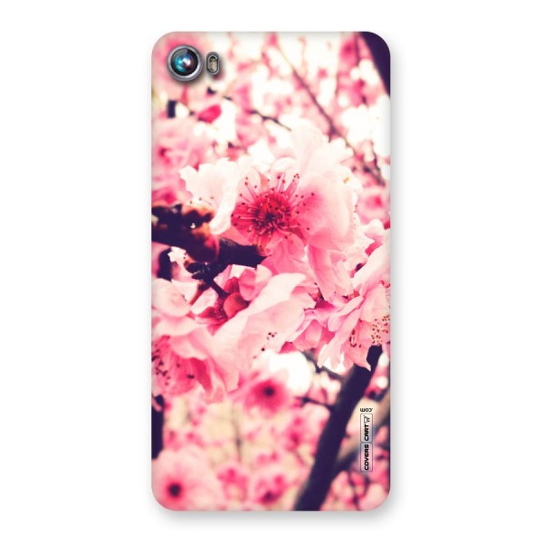 Pretty Pink Flowers Back Case for Micromax Canvas Fire 4 A107