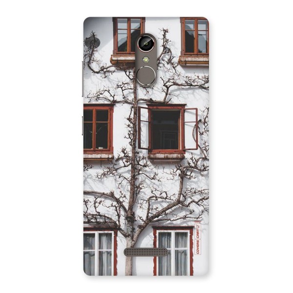 Tree House Back Case for Gionee S6s