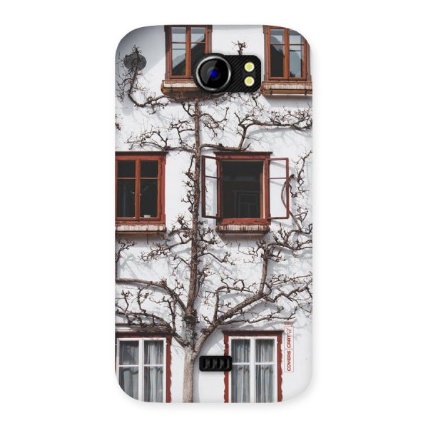 Tree House Back Case for Micromax Canvas 2 A110