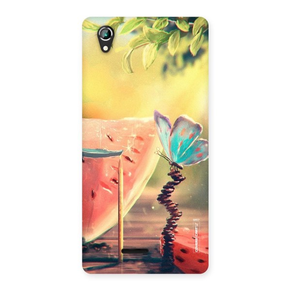 Watermelon Butterfly Back Case for Lava Iris 800