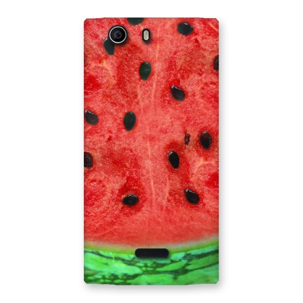 Watermelon Design Back Case for Canvas Nitro 2 E311