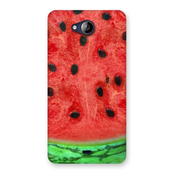 Watermelon Design Back Case for Canvas Play Q355