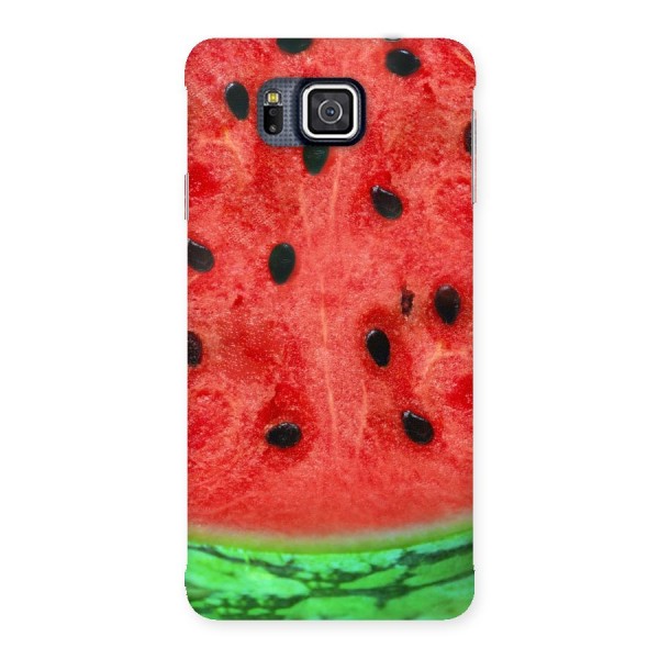 Watermelon Design Back Case for Galaxy Alpha