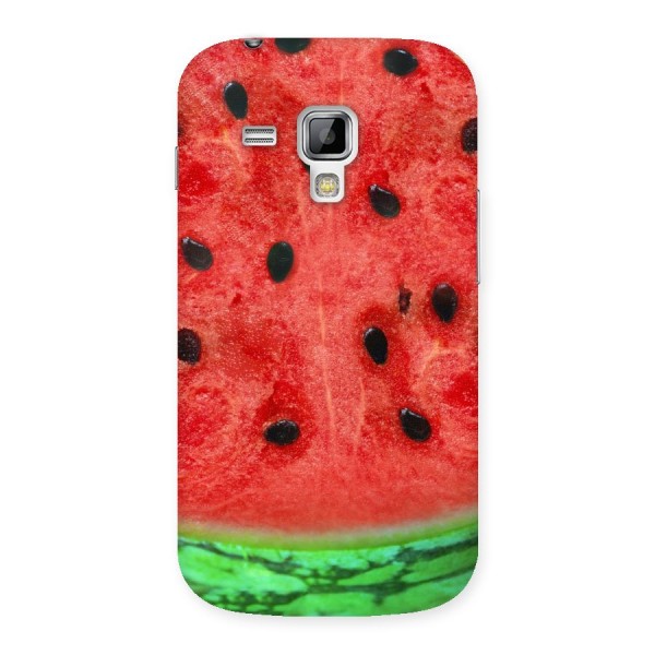 Watermelon Design Back Case for Galaxy S Duos