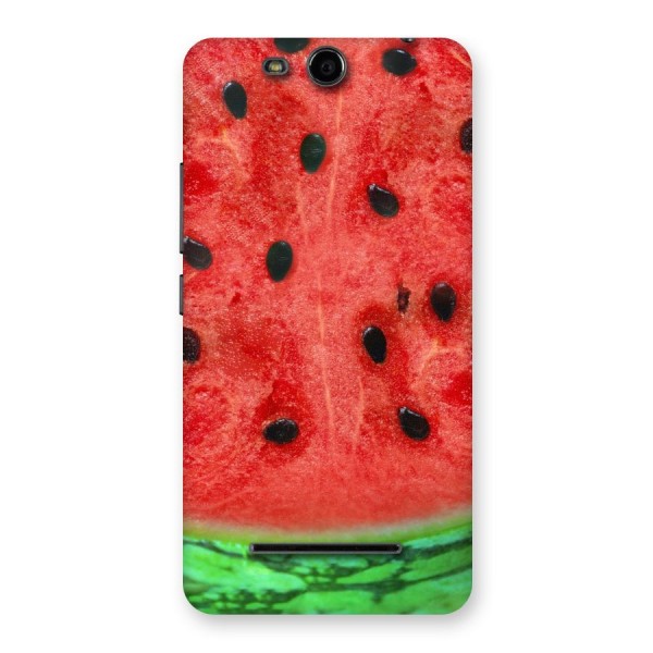 Watermelon Design Back Case for Micromax Canvas Juice 3 Q392