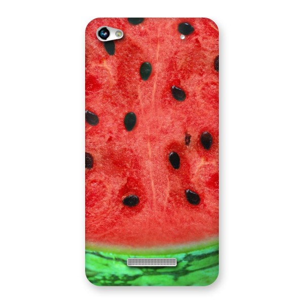Watermelon Design Back Case for Micromax Hue 2