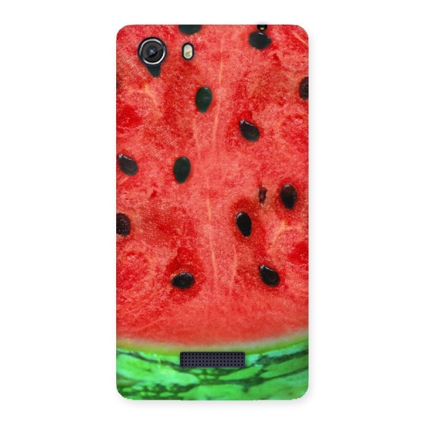 Watermelon Design Back Case for Micromax Unite 3