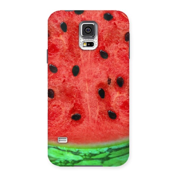Watermelon Design Back Case for Samsung Galaxy S5