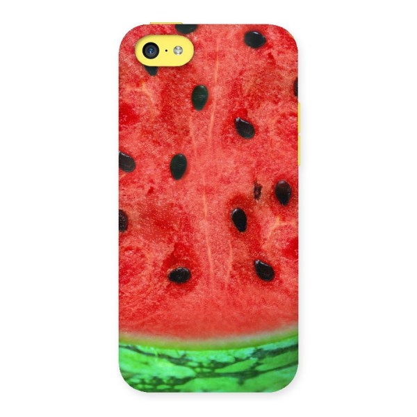 Watermelon Design Back Case for iPhone 5C