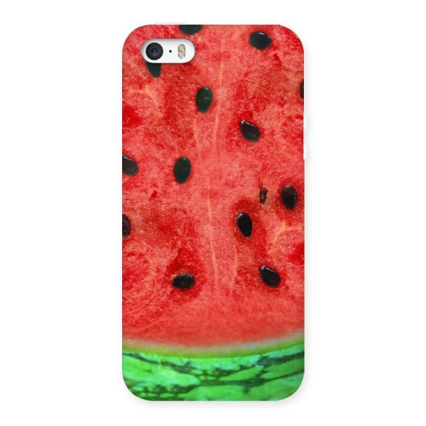 Watermelon Design Back Case for iPhone SE