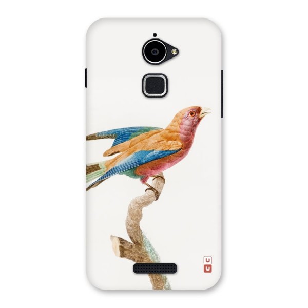 Beautiful Bird Back Case for Coolpad Note 3 Lite