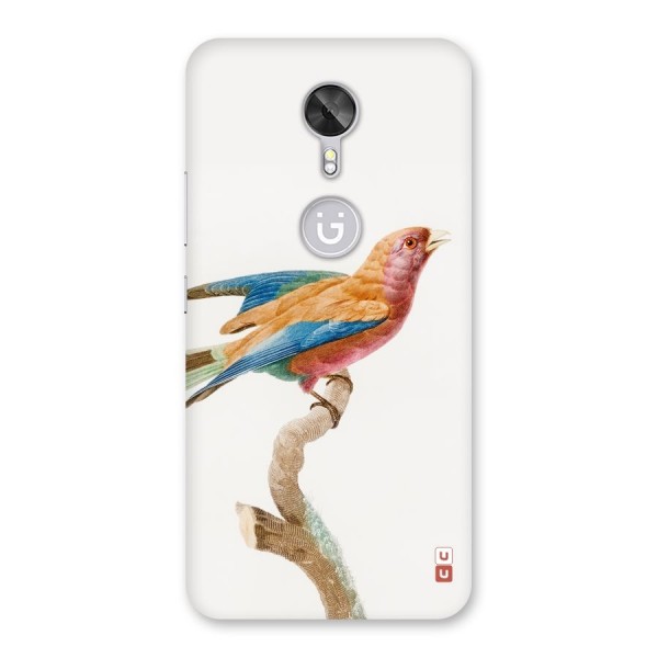 Beautiful Bird Back Case for Gionee A1