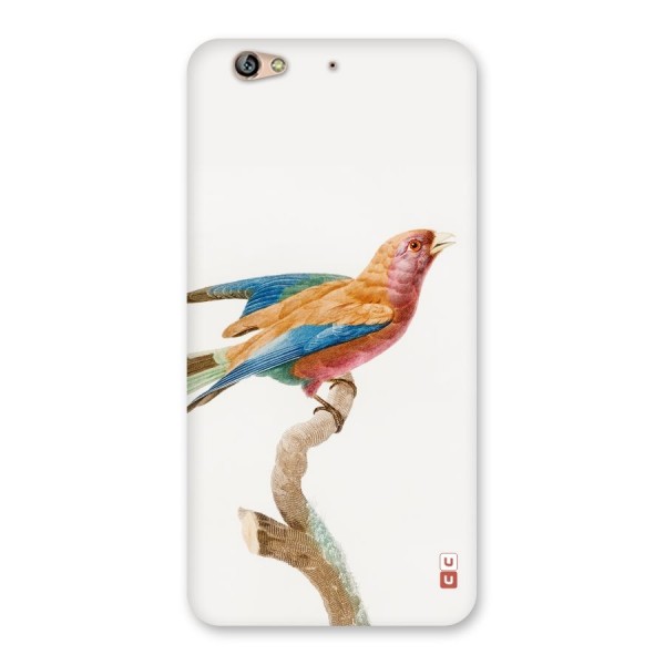 Beautiful Bird Back Case for Gionee S6