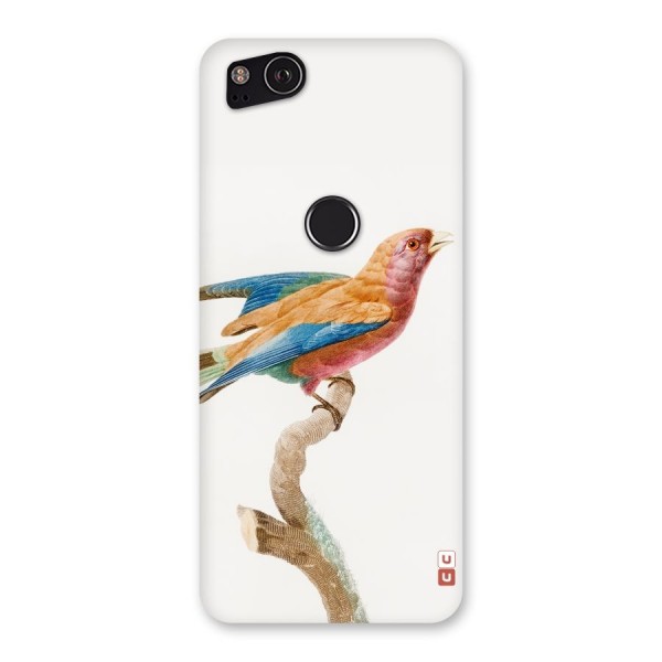 Beautiful Bird Back Case for Google Pixel 2