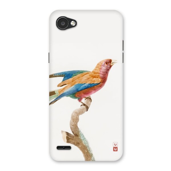Beautiful Bird Back Case for LG Q6