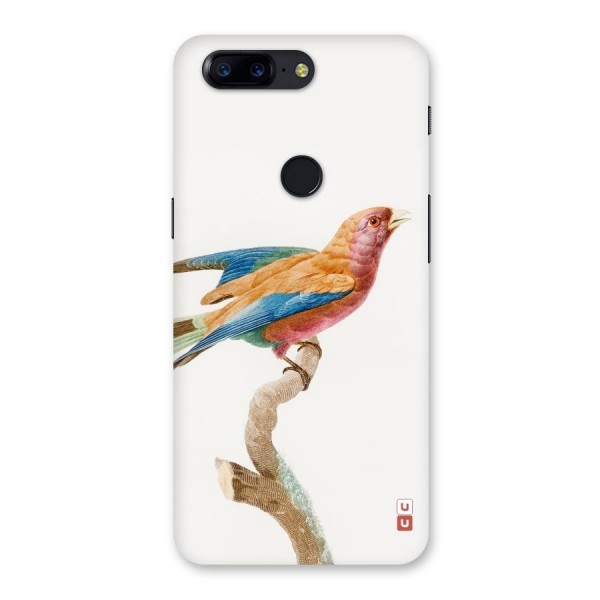Beautiful Bird Back Case for OnePlus 5T
