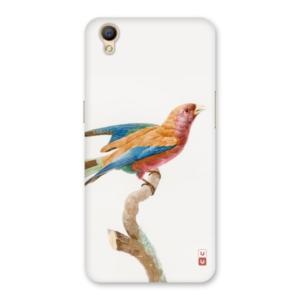 Beautiful Bird Back Case for Oppo A37
