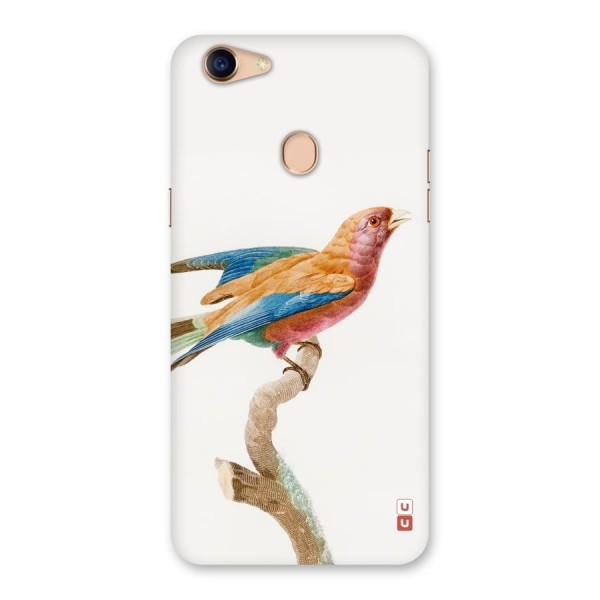 Beautiful Bird Back Case for Oppo F5