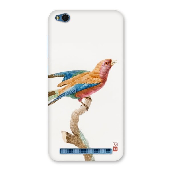 Beautiful Bird Back Case for Redmi 5A