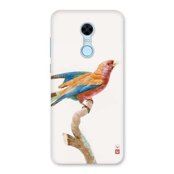 Beautiful Bird Back Case for Redmi Note 5