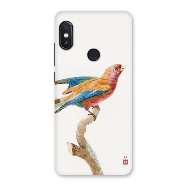 Beautiful Bird Back Case for Redmi Note 5 Pro