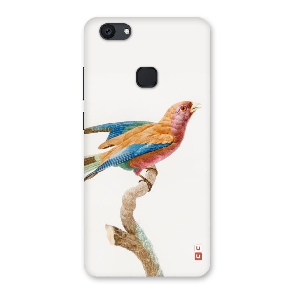 Beautiful Bird Back Case for Vivo V7 Plus