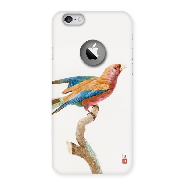 Beautiful Bird Back Case for iPhone 6 Logo Cut
