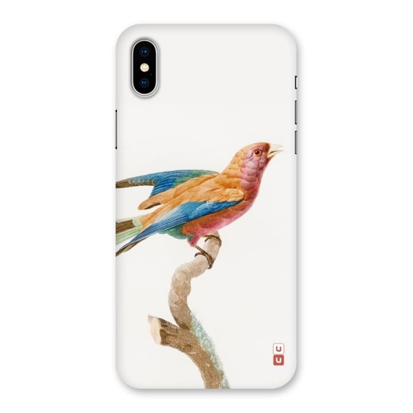 Beautiful Bird Back Case for iPhone X