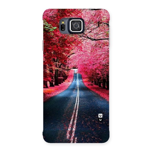 Beautiful Red Trees Back Case for Galaxy Alpha