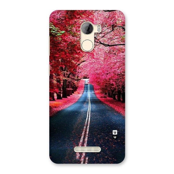 Beautiful Red Trees Back Case for Gionee A1 LIte