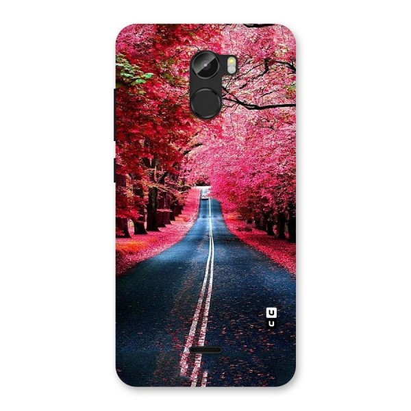 Beautiful Red Trees Back Case for Gionee X1