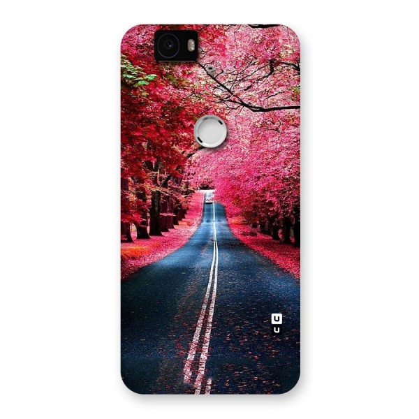 Beautiful Red Trees Back Case for Google Nexus-6P