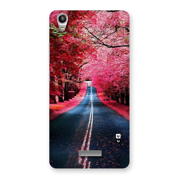 Beautiful Red Trees Back Case for Lava-Pixel-V1