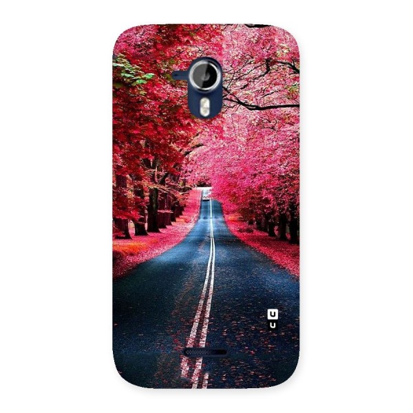 Beautiful Red Trees Back Case for Micromax Canvas Magnus A117