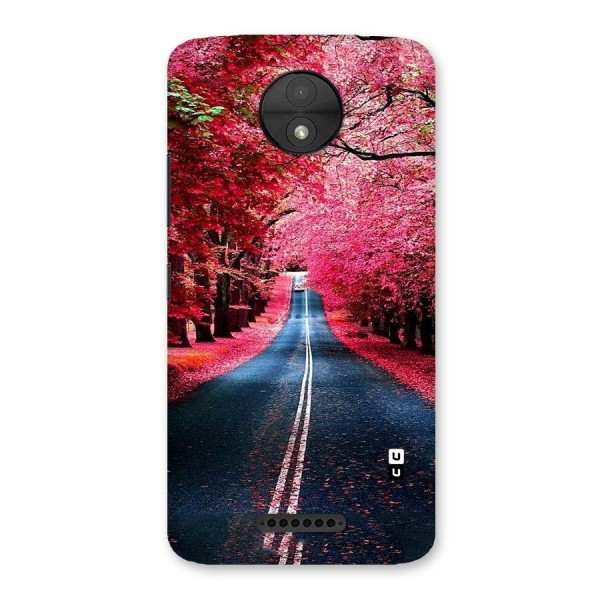 Beautiful Red Trees Back Case for Moto C
