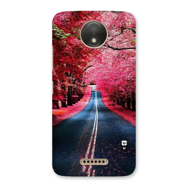 Beautiful Red Trees Back Case for Moto C Plus