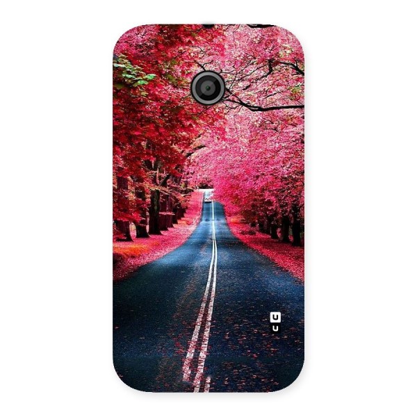 Beautiful Red Trees Back Case for Moto E