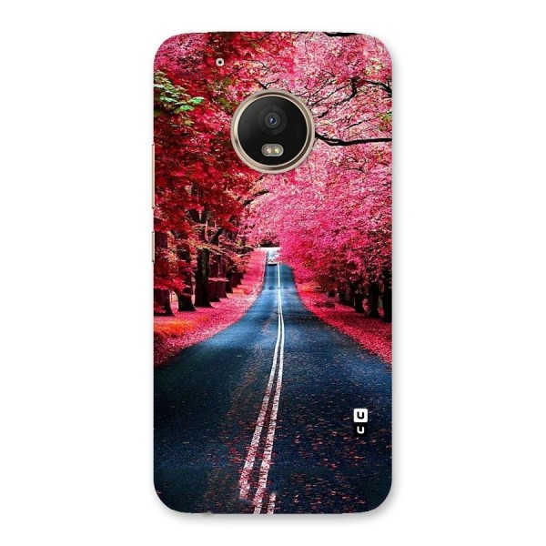 Beautiful Red Trees Back Case for Moto G5 Plus