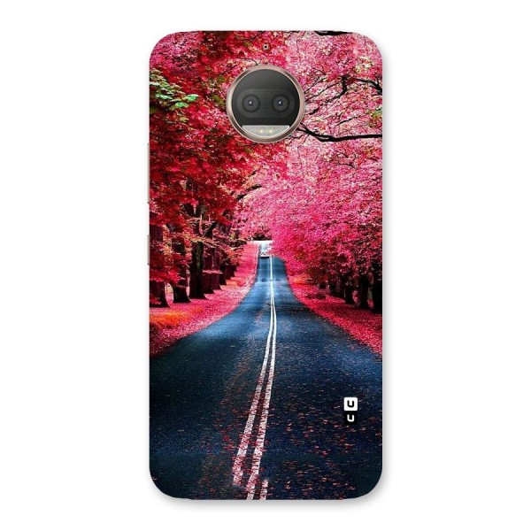 Beautiful Red Trees Back Case for Moto G5s Plus