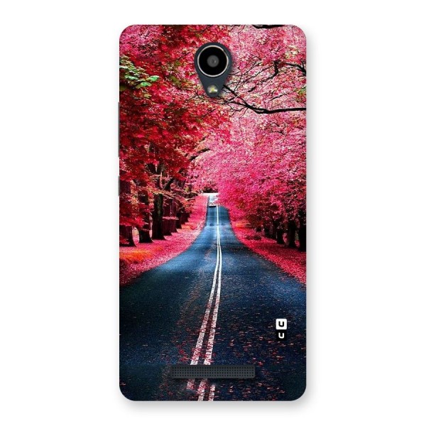 Beautiful Red Trees Back Case for Redmi Note 2