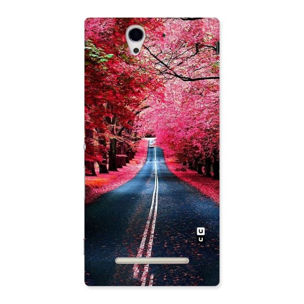 Beautiful Red Trees Back Case for Sony Xperia C3
