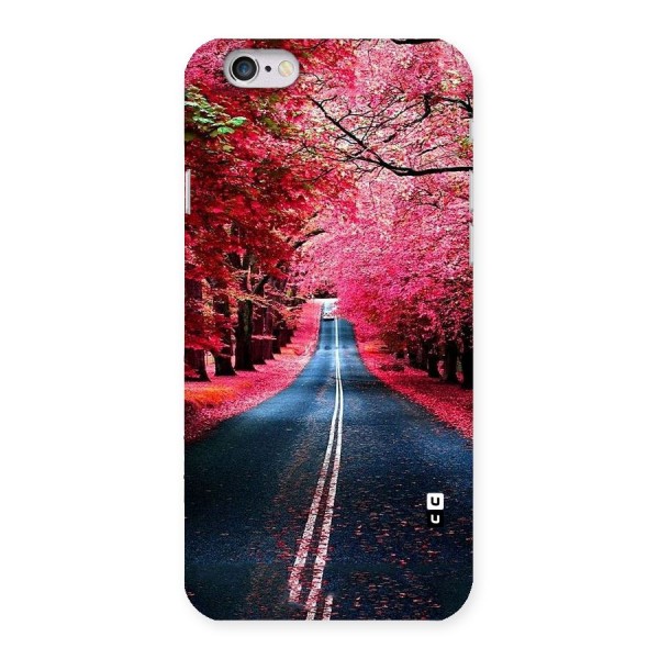 Beautiful Red Trees Back Case for iPhone 6 6S