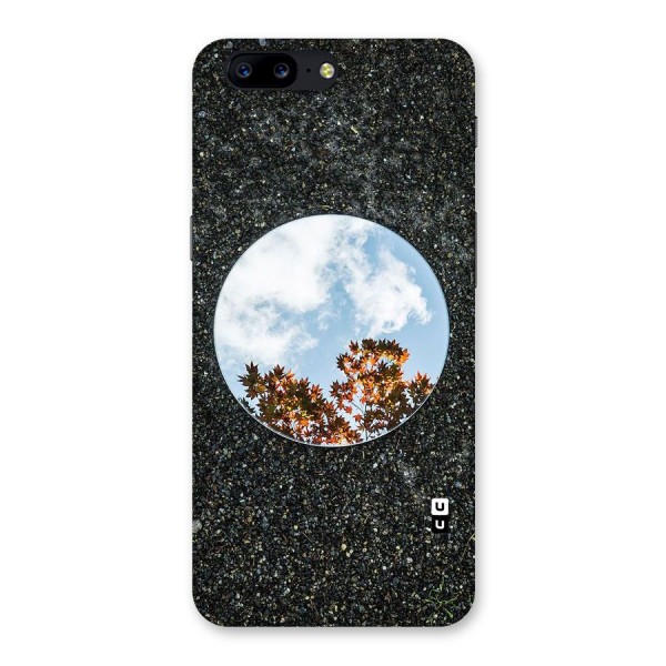 Beautiful Sky Leaves Back Case for OnePlus 5
