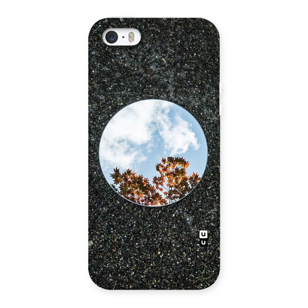 Beautiful Sky Leaves Back Case for iPhone 5 5S