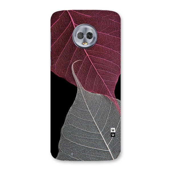 Beauty Leaf Back Case for Moto G6