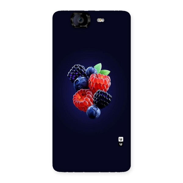 Berry Blast Back Case for Canvas Knight A350