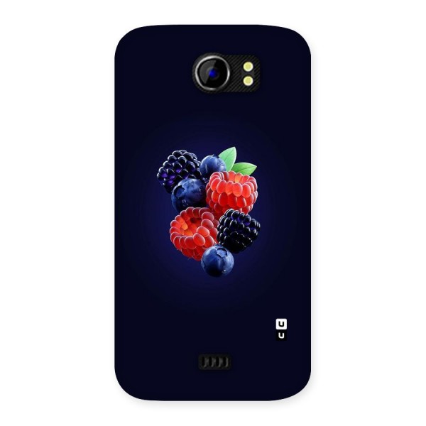 Berry Blast Back Case for Micromax Canvas 2 A110