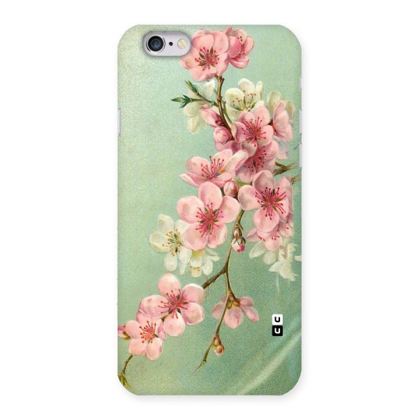 Blossom Cherry Design Back Case for iPhone 6 6S
